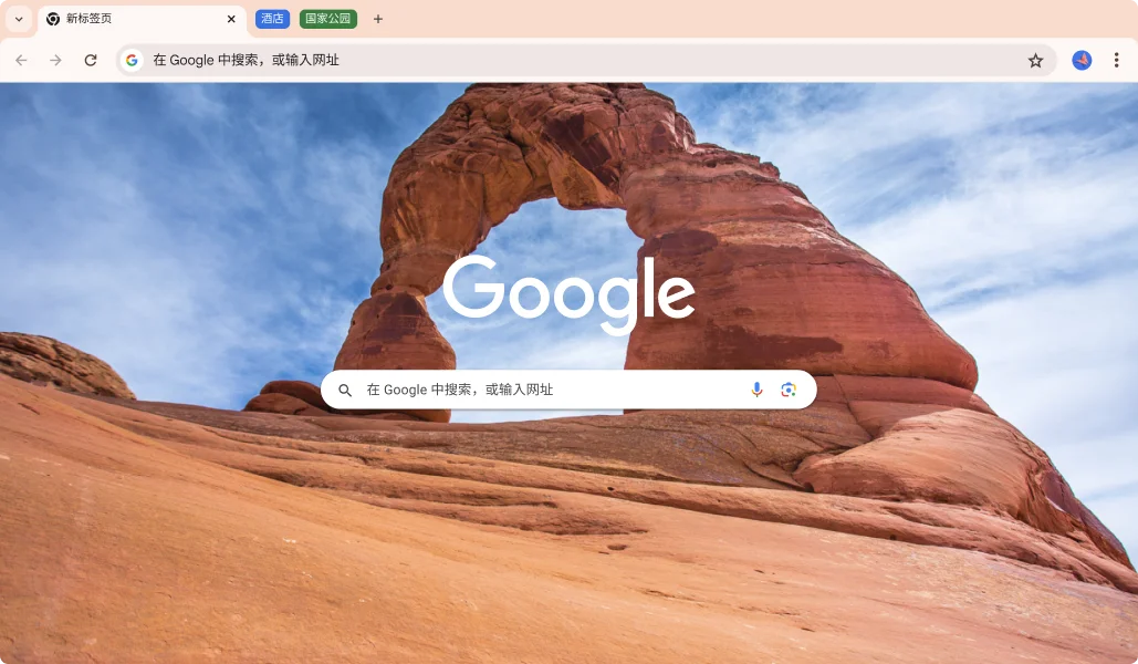 Google Chrome Browser Interface